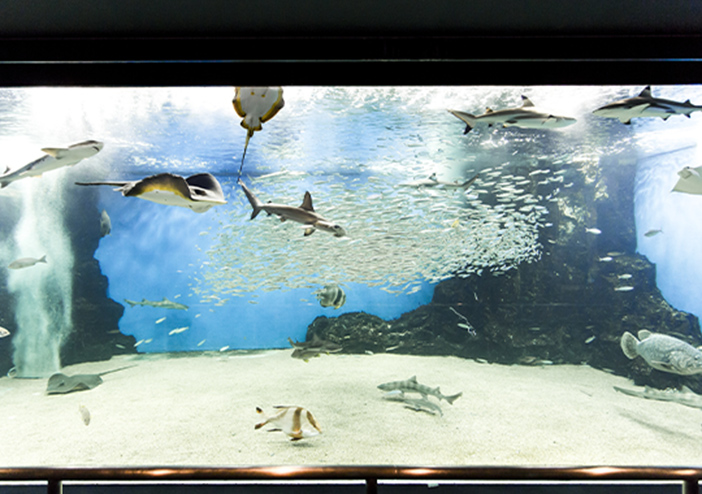 越前松島水族館